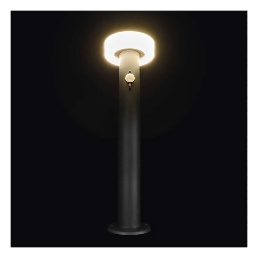 LED Solar lamp with sensor LED/2W/3,7V 1200 mAh IP44 50 cm