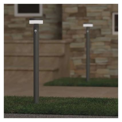 LED Solar lamp with sensor LED/2W/3,7V 1200 mAh IP44 80 cm