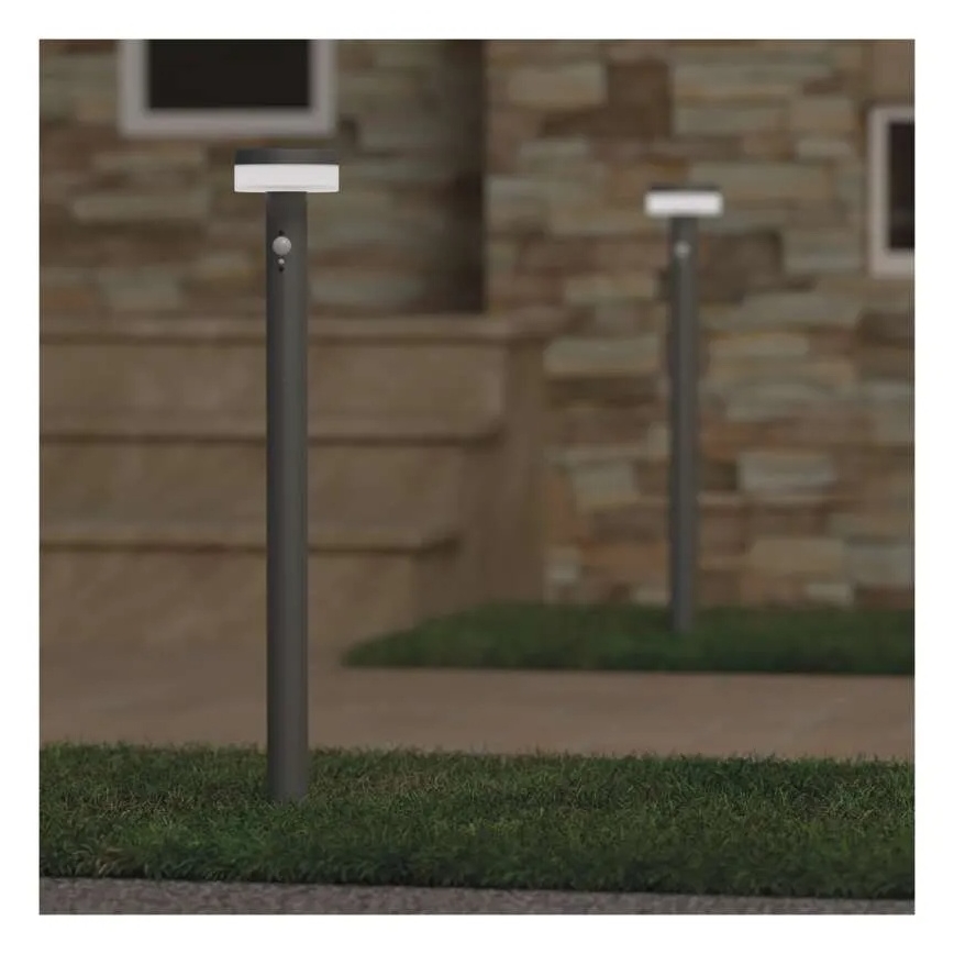 LED Solar lamp with sensor LED/2W/3,7V 1200 mAh IP44 80 cm