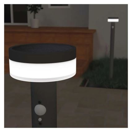LED Solar lamp with sensor LED/2W/3,7V 1200 mAh IP44 80 cm