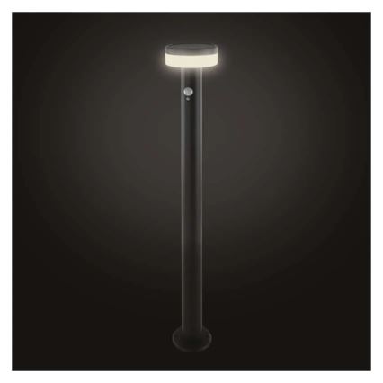 LED Solar lamp with sensor LED/2W/3,7V 1200 mAh IP44 80 cm