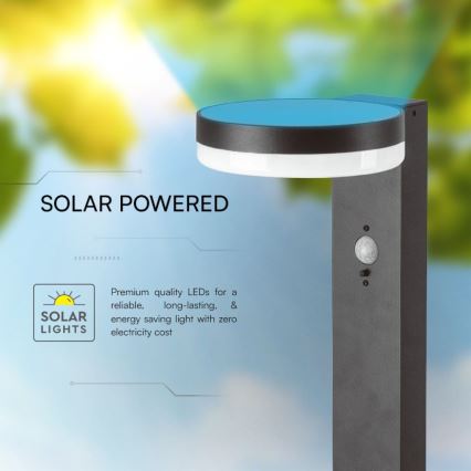 LED Solar lamp with sensor LED/2W/3,7V IP54 3000K round black