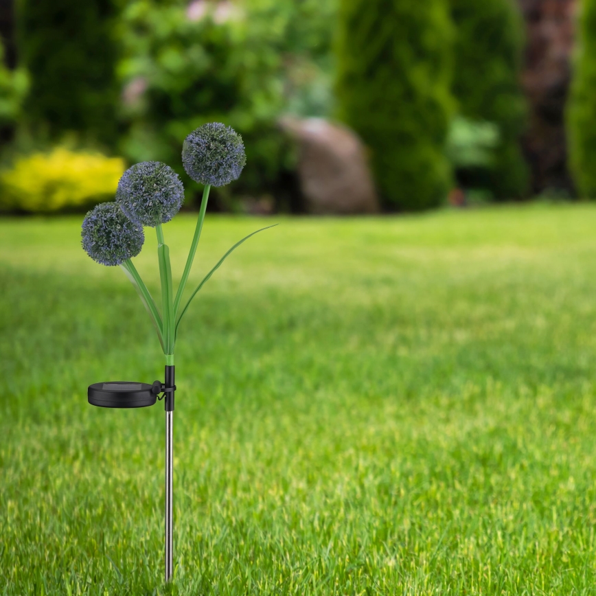 LED Solar light ALLIUM LED/1,2V 6500K 600 mAh IP44 black