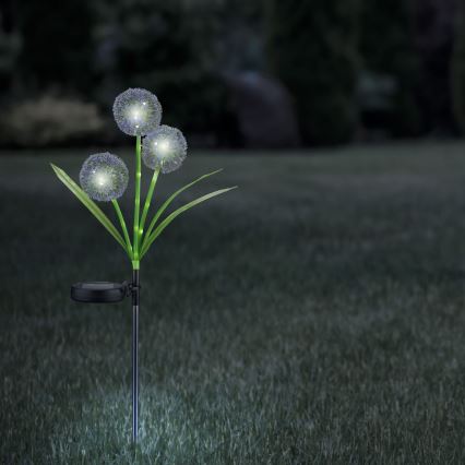 LED Solar light ALLIUM LED/1,2V 6500K 600 mAh IP44 black