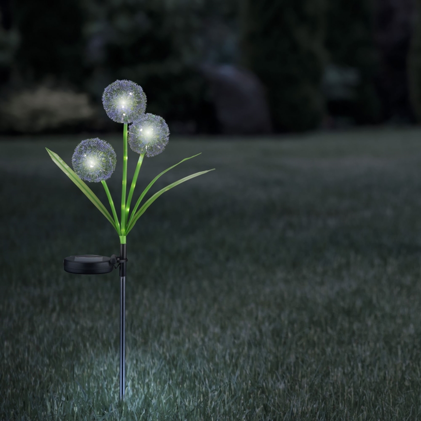 LED Solar light ALLIUM LED/1,2V 6500K 600 mAh IP44 black