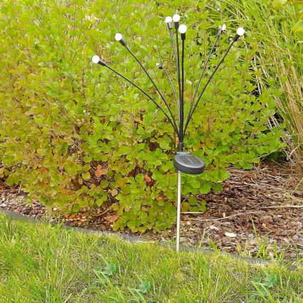 LED Solar light FIORINI 8xLED/1,2V 600mAh IP44 black