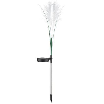 LED Solar light GRASS LED/1,2V 3000K 600 mAh IP44 black