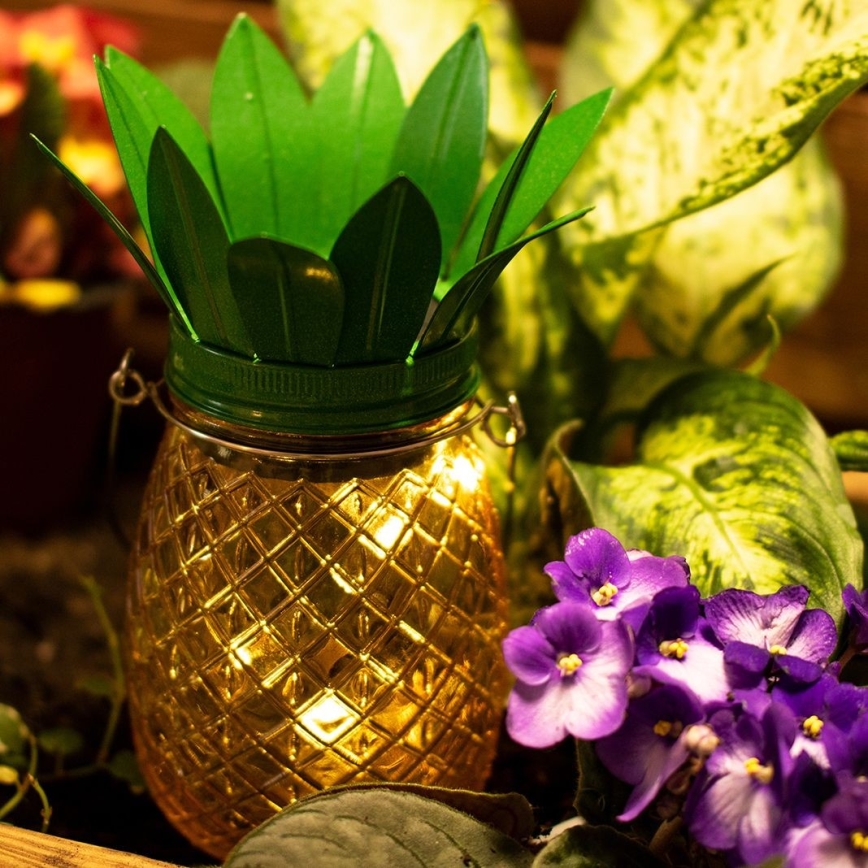 LED Solar light JAR LED/1,2V IP44 pineapple