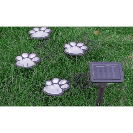 LED Solar light LED/0,14W/2V IP44 paws