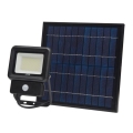 LED Solar light with a sensor LED/30W/3,7V 6500K IP65 6600 mAh