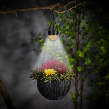 LED Solar Planter Light, LED/1.2 V, 400 mAh, IP44, Black