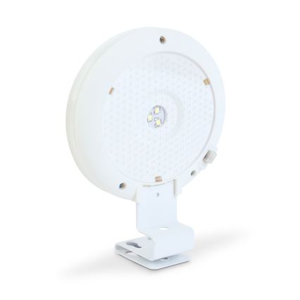LED Solar Wall Light, 1.2V / 1000 mAh, IP44, White