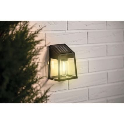 LED Solar wall light LED/1,2V