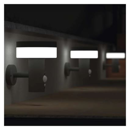 LED Solar wall light with sensor LED/2W/3,7V 1200 mAh IP44