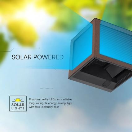 LED Solar Wall Light with Sensor, LED/9W/3.7V, 3000/4000/6000K, IP65, 2600 mAh, Brown