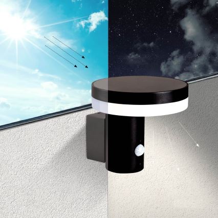 LED Solar wall light with sensor SOLARIS3 LED/5,5W/3,7V 4000K IP44 2600 mAh