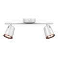 LED spotlight 2xLED/5W/230V 3000K white