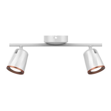 LED spotlight 2xLED/5W/230V 3000K white