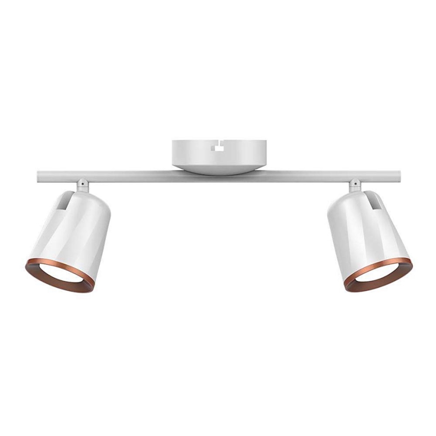 LED spotlight 2xLED/5W/230V 3000K white