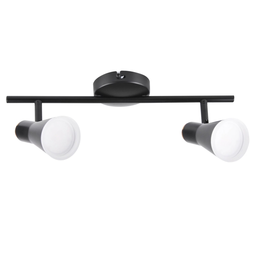 LED Spotlight BERG 2xLED/4,2W/230V black