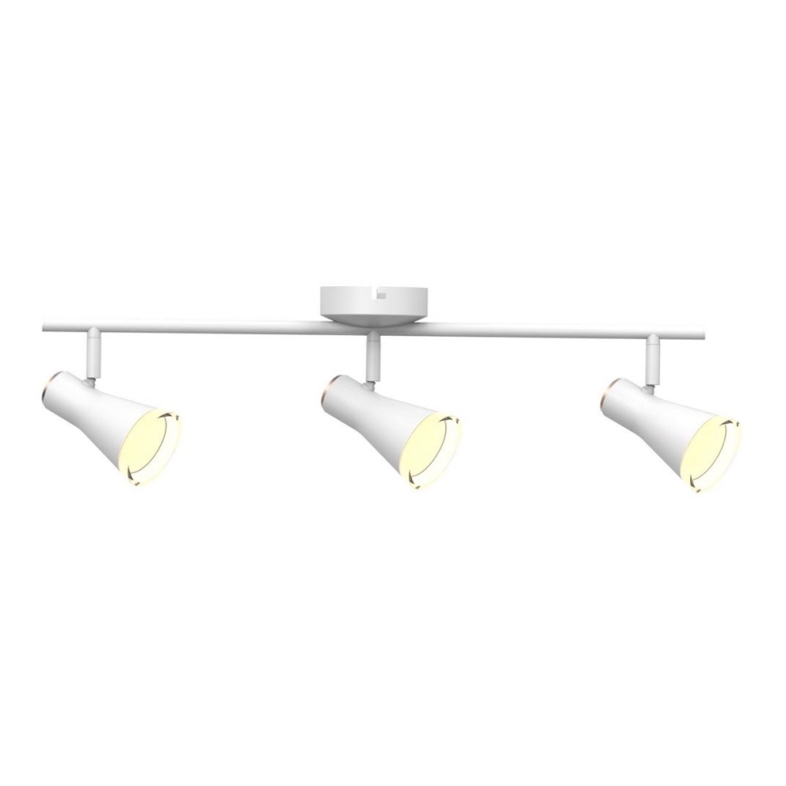 LED Spotlight BERG 3xLED/4,2W/230V white