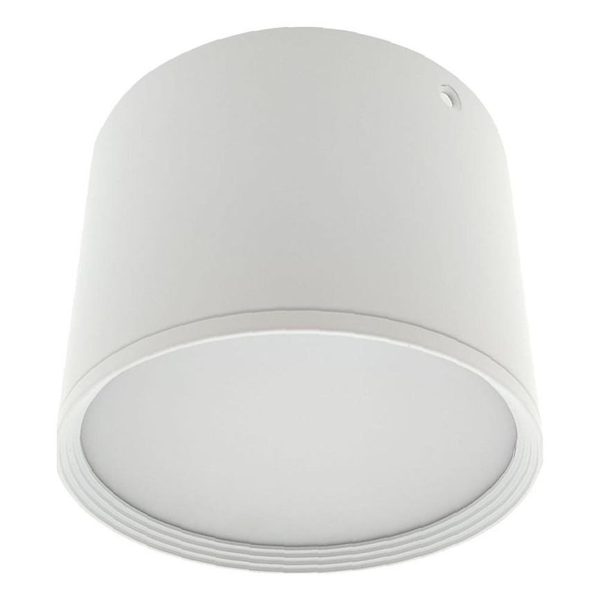 LED spotlight LED/10W/230V 3000/4000/6400K Ø 12 cm white