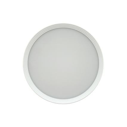 LED spotlight LED/10W/230V 3000/4000/6400K Ø 12 cm white