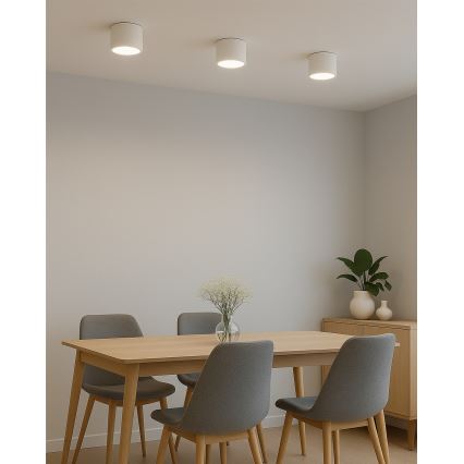 LED spotlight LED/10W/230V 3000/4000/6400K Ø 12 cm white