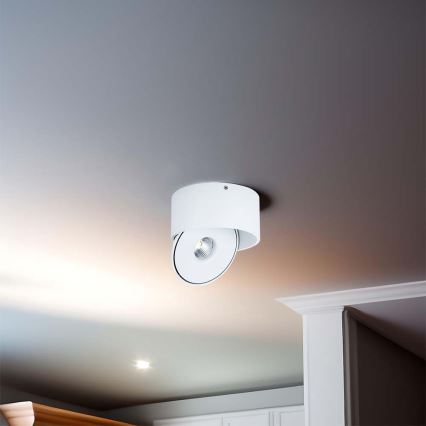 LED Flexible spotlight LED/28W/230V 3000/4000/6400K CRI 90 white