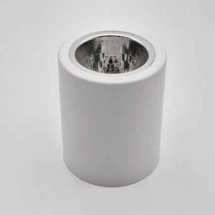 LED Spotlight TACO 1xE27/15W/230V white