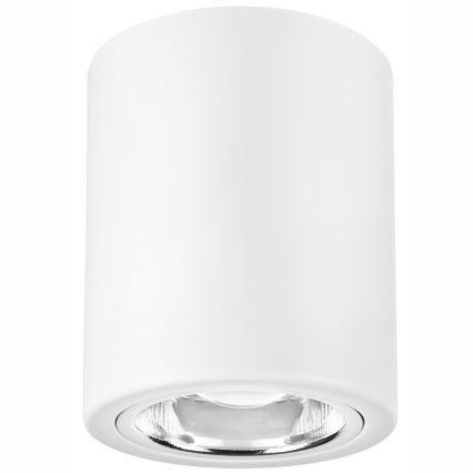 LED Spotlight TACO 1xE27/15W/230V white