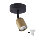 LED spotlight TOP 1xGU10/10W/230V gold/black