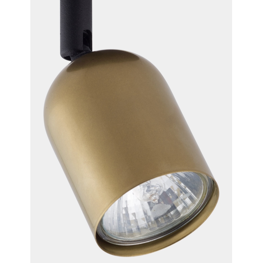 LED spotlight TOP 1xGU10/10W/230V gold/black