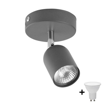 LED spotlight TOP 1xGU10/10W/230V gray