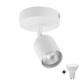 LED Spotlight TOP 1xGU10/10W/230V white