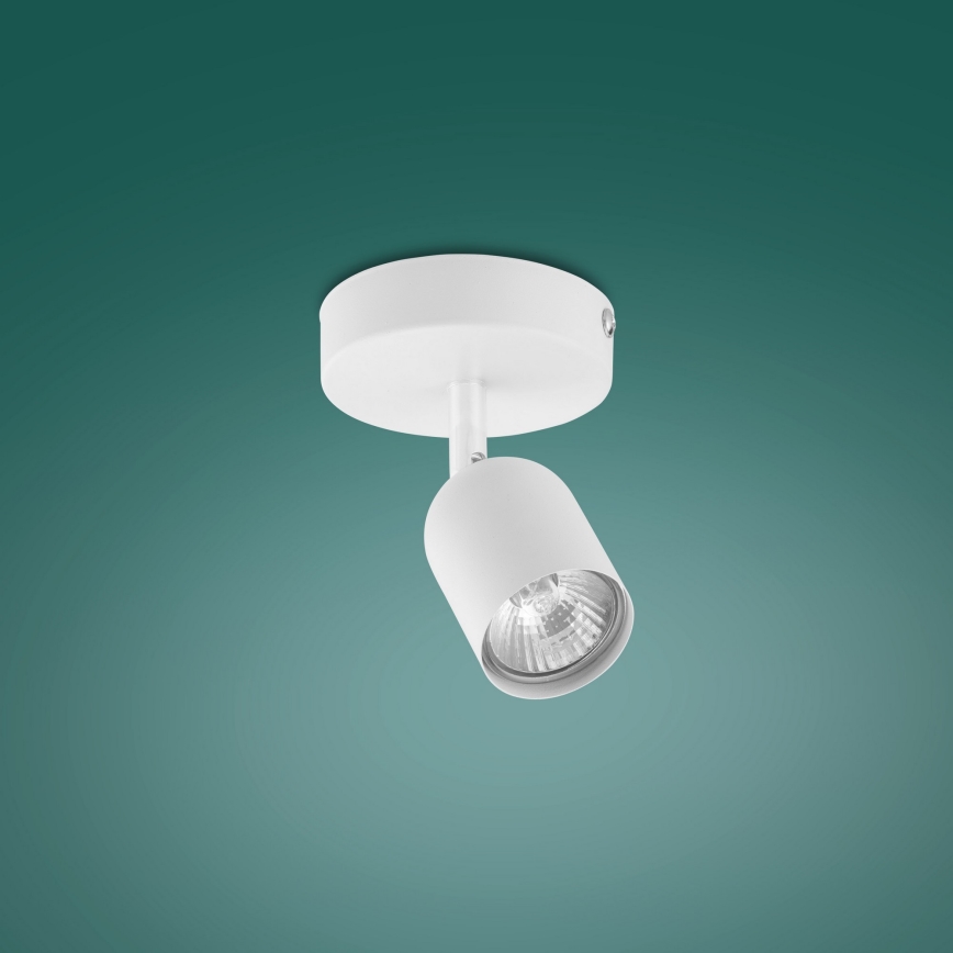 LED Spotlight TOP 1xGU10/10W/230V white