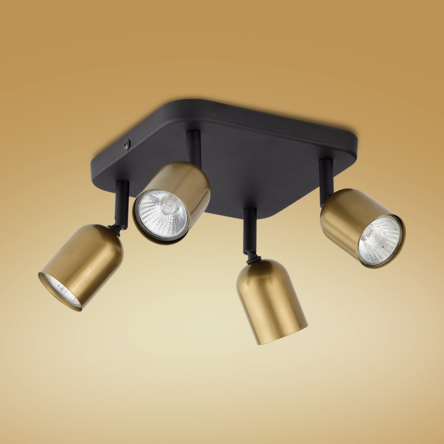 LED Spotlight TOP 4xGU10/10W/230V gold/black