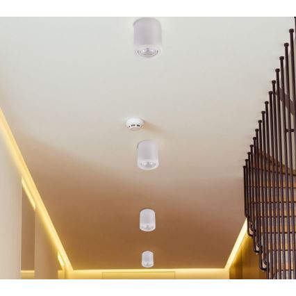 LED Spotlight TUBA 1xGU10/5W/230V 4000K white