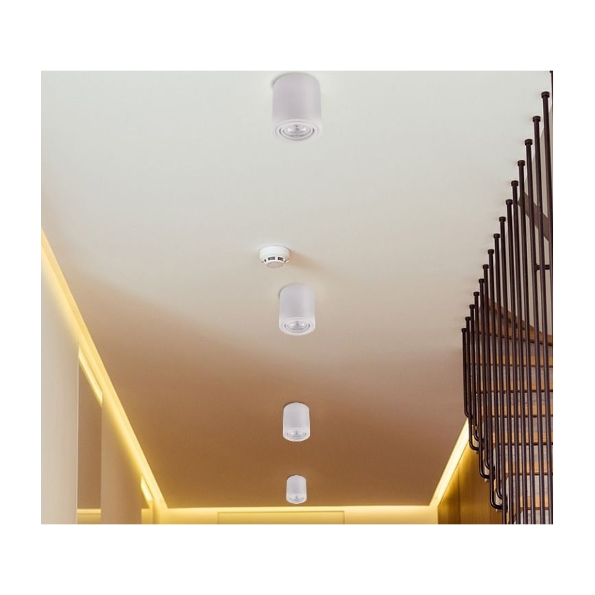 LED Spotlight TUBA 1xGU10/5W/230V 4000K white
