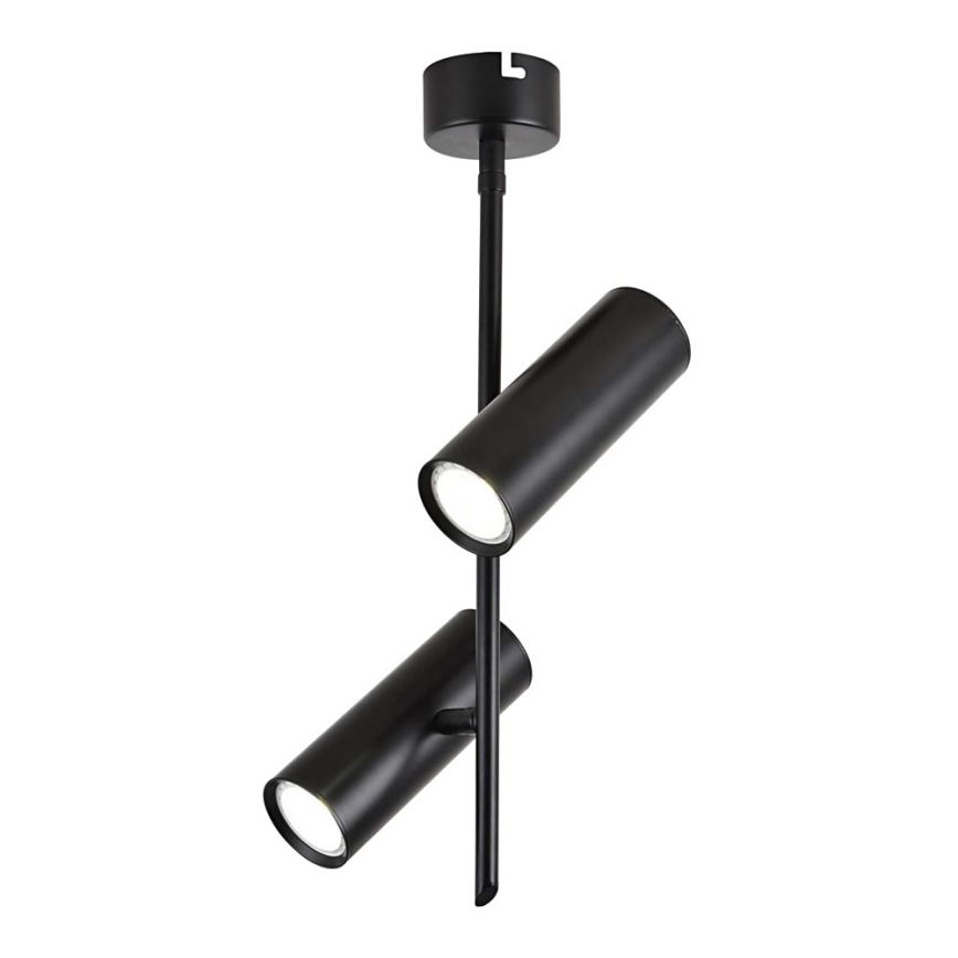 LED Spotlight TUBA 2xLED/10W/230V black