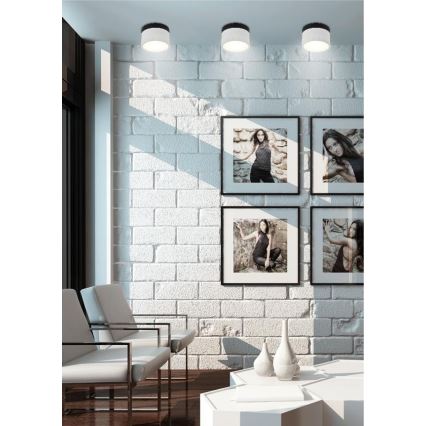 LED Spotlight TUBA LED/9W/230V white/black