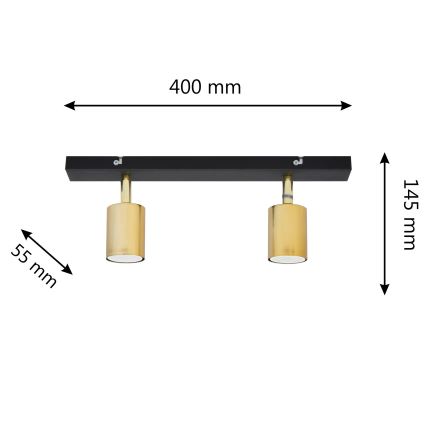 LED Spotlight TUNE 2xGU10/4,8W/230V gold/black