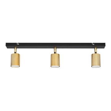 LED Spotlight TUNE 3xGU10/4,8W/230V gold/black