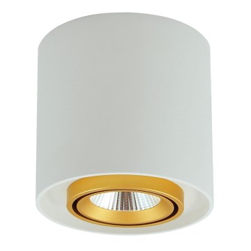 LED Spotlight XENO LED/15W/230V white 1200lm
