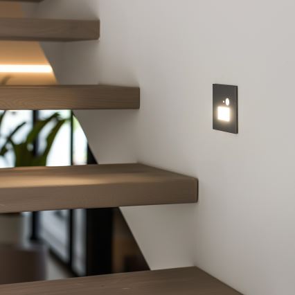 LED Staircase Light with Motion and Dusk Sensor LED/1.5W/230V 3000/4000/6500K Silver