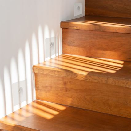 LED Staircase light LED/3W/230V 4000K white