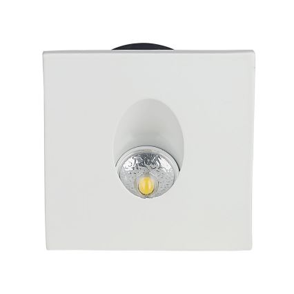 LED Staircase light LED/3W/230V 4000K white