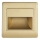 LED staircase light STEP LIGHT NET LED/1,5W/30V golden