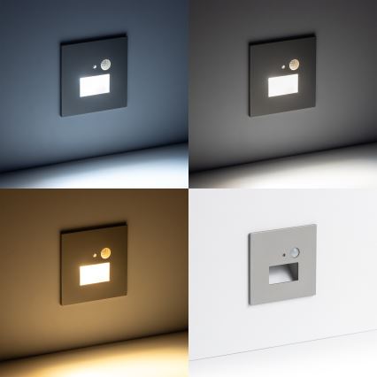 LED Staircase light with a motion sensor LED/1,5W/230V 3000K/4000K/6500K
