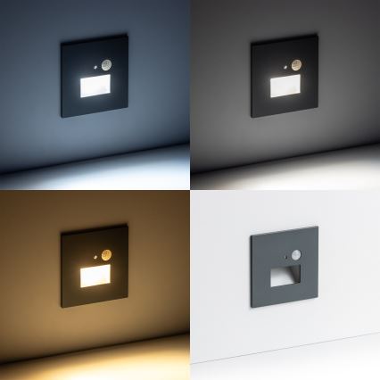 LED Staircase light with a motion sensor LED/1,5W/230V 3000K/4000K/6500K